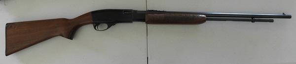 Remington Model 572 Field Master 22-image